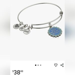 NEW IN BOX ALEX & ANI Silver Bangle Bracelet with Charms